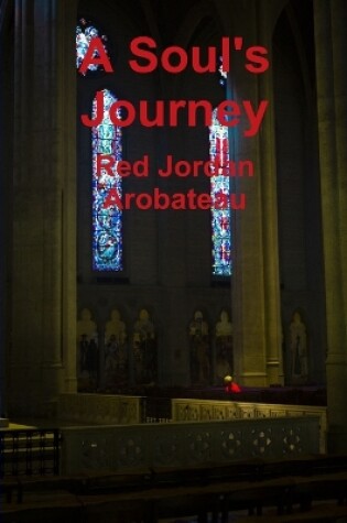 Cover of A Soul's Journey