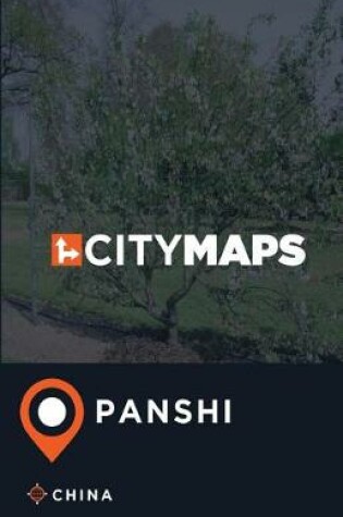 Cover of City Maps Panshi China