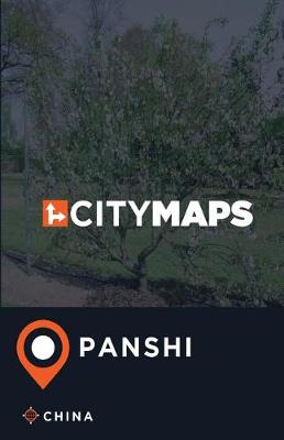 Book cover for City Maps Panshi China