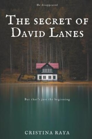 Cover of The secret of David Lanes