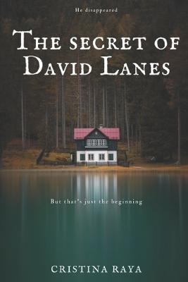 Book cover for The secret of David Lanes