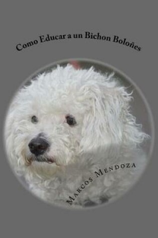 Cover of Como Educar a un Bichon Bolones