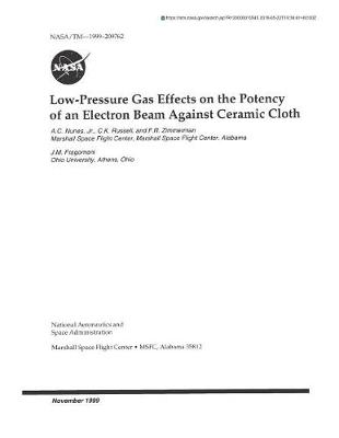 Book cover for Low-Pressure Gas Effects on the Potency of an Electron Beam Against Ceramic Cloth