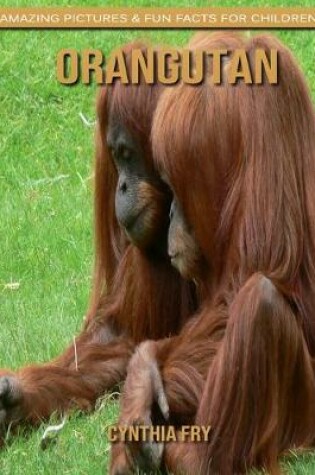 Cover of Orangutan