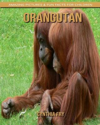 Book cover for Orangutan