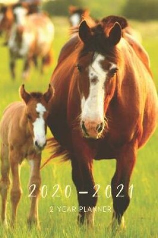 Cover of 2020-2021 2 Year Planner Horse Foal Monthly Calendar Goals Agenda Schedule Organizer