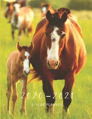 Book cover for 2020-2021 2 Year Planner Horse Foal Monthly Calendar Goals Agenda Schedule Organizer