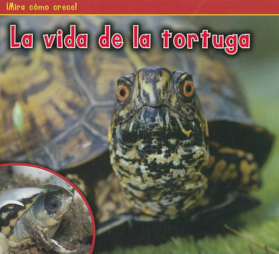 Book cover for La Vida de la Tortuga