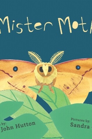 Cover of Mister Moth