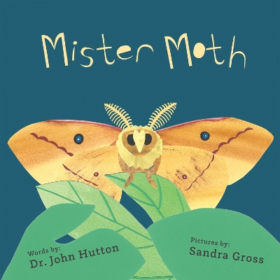 Book cover for Mister Moth