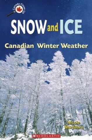 Cover of Snow and Ice