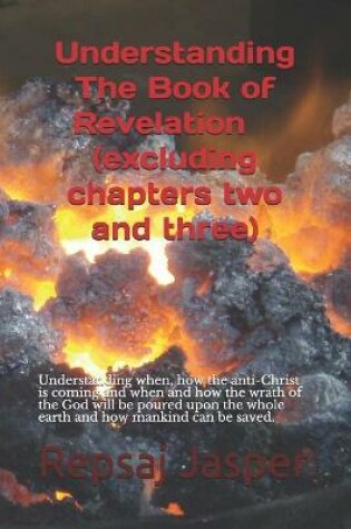 Cover of Understanding The Book of Revelation(excluding chapters two and three)