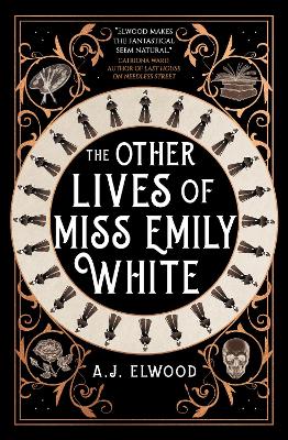 Book cover for The Other Lives of Miss Emily White