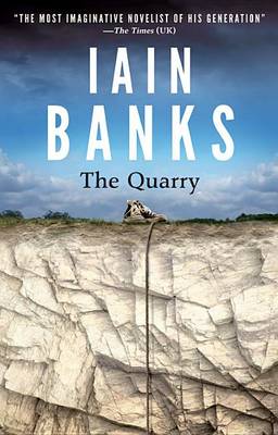 Book cover for The Quarry