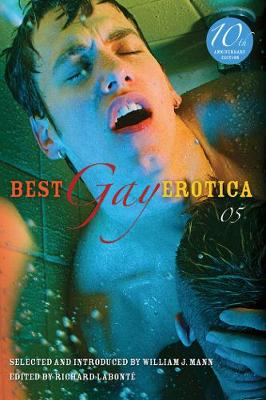 Book cover for Best Gay Erotica 2005