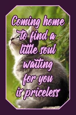 Book cover for Coming Home to Find a Little Soul Waiting for You Is Priceless