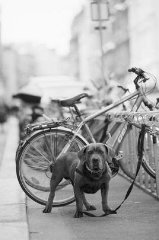 Cover of Organic Anti Theft Bike Lock in the City