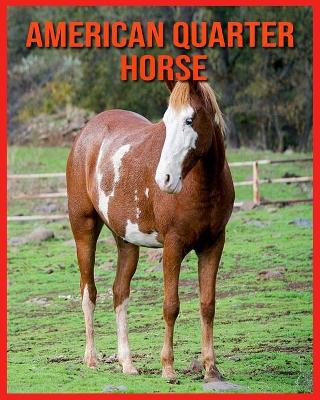 Book cover for American Quarter Horse