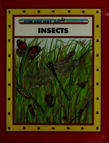 Book cover for Hw ACT Insects