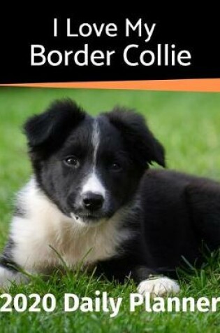 Cover of I Love My Border Collie