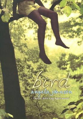 Book cover for Bird