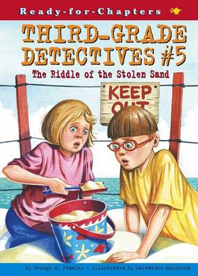Cover of The Riddle of the Stolen Sand