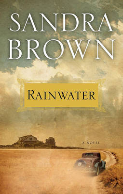 Book cover for Rainwater