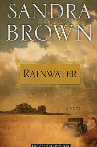 Cover of Rainwater
