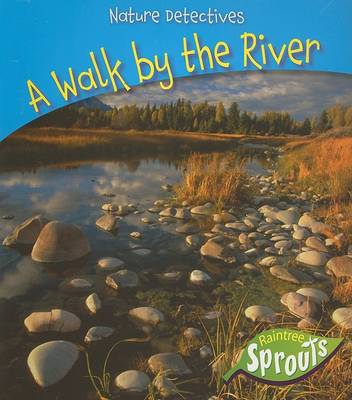 Book cover for A Walk by the River
