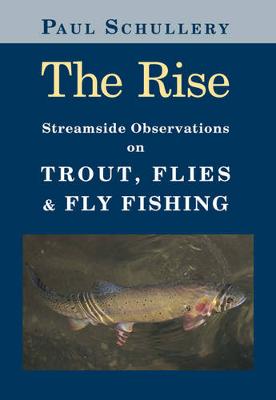 Book cover for The Rise