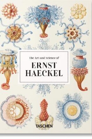 Cover of Ernst Haeckel. Kunst und Wissenschaft. 40th Ed.