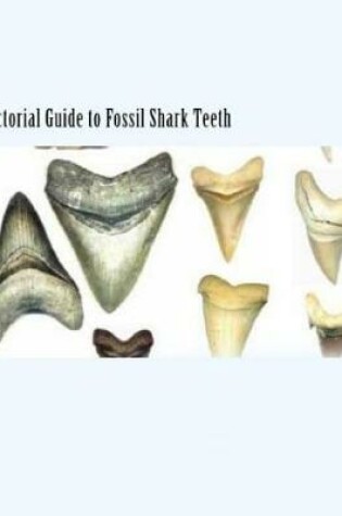 Cover of Pictorial Guide To Fossil Shark Teeth