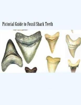 Cover of Pictorial Guide To Fossil Shark Teeth