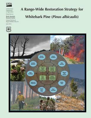 Book cover for A Range-Wide Restoration Strategy for Whitebark Pine (Pinus albicaulis)