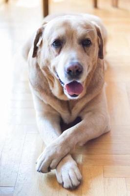 Book cover for Such a Good Dog--Darling Yellow Lab Pet Journal