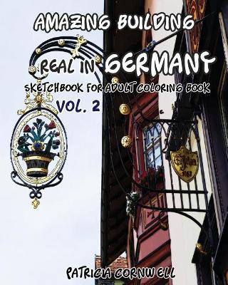 Cover of Amazing Building Real In Germany