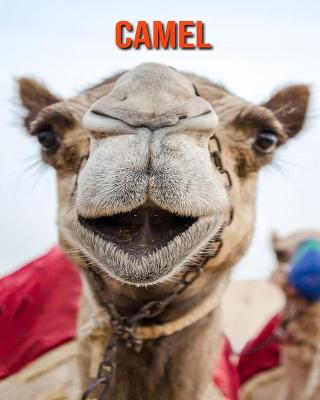 Book cover for Camel