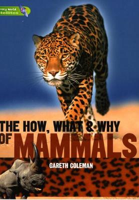 Book cover for Literacy World Satellites Non Fict Stg 3 Gui Rea Cards How, What & Why of Mammals Frwk 6pk