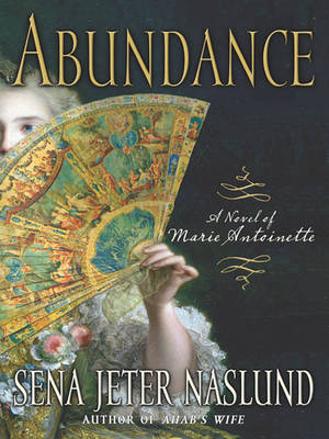 Book cover for Abundance