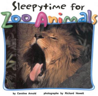 Cover of Sleepytime for Zoo Animals