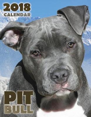 Book cover for Pit Bull 2018 Calendar (UK Edition)