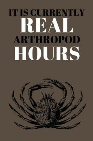 Cover of It Is Currently Real Arthropod Hours