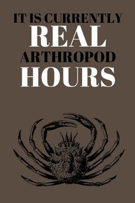 Book cover for It Is Currently Real Arthropod Hours