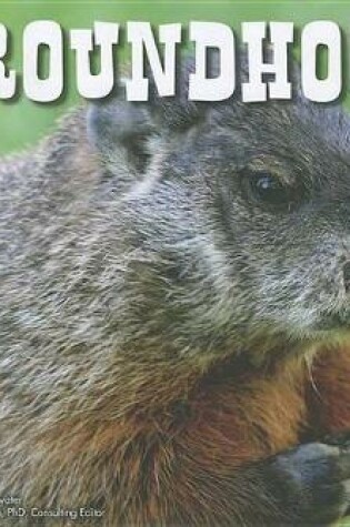 Cover of Groundhogs