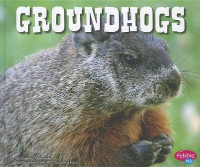 Book cover for Groundhogs