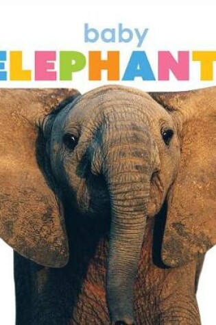 Cover of Baby Elephants