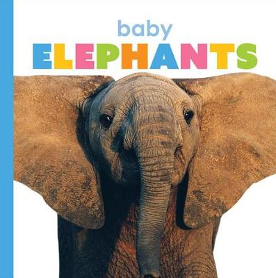 Book cover for Baby Elephants