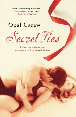 Book cover for Secret Ties