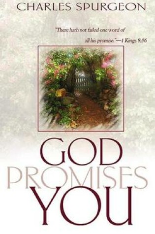 Cover of God Promises You
