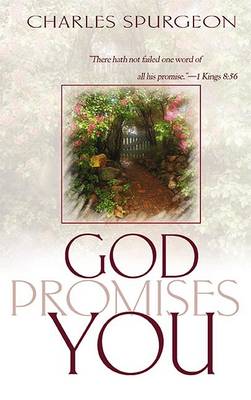 Book cover for God Promises You